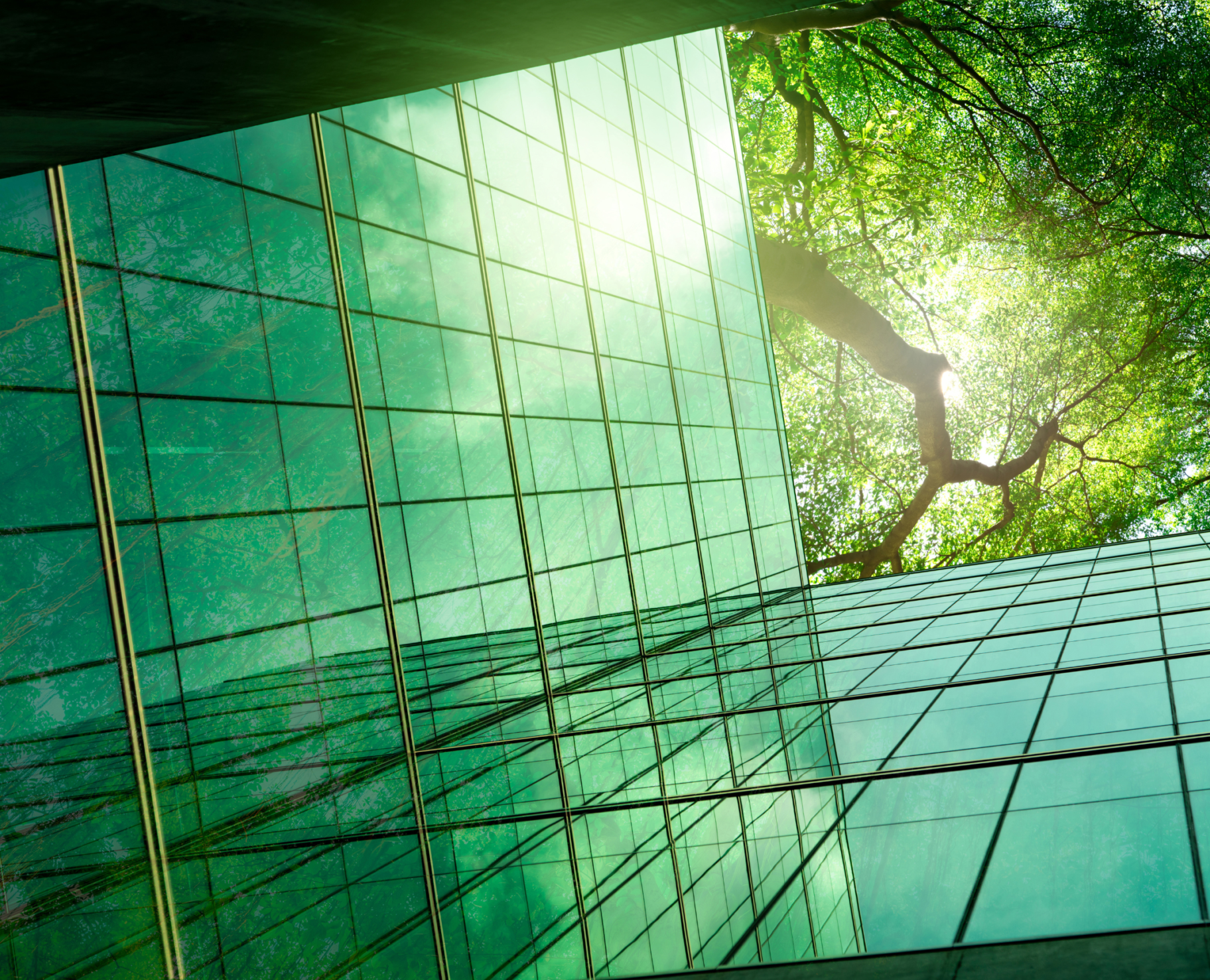 Untitled Design 2142x1736 3